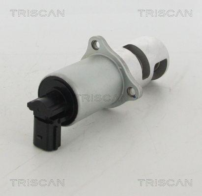 TRISCAN 8813 10100 Agr Ventil f&uuml;r Renault/Nissan