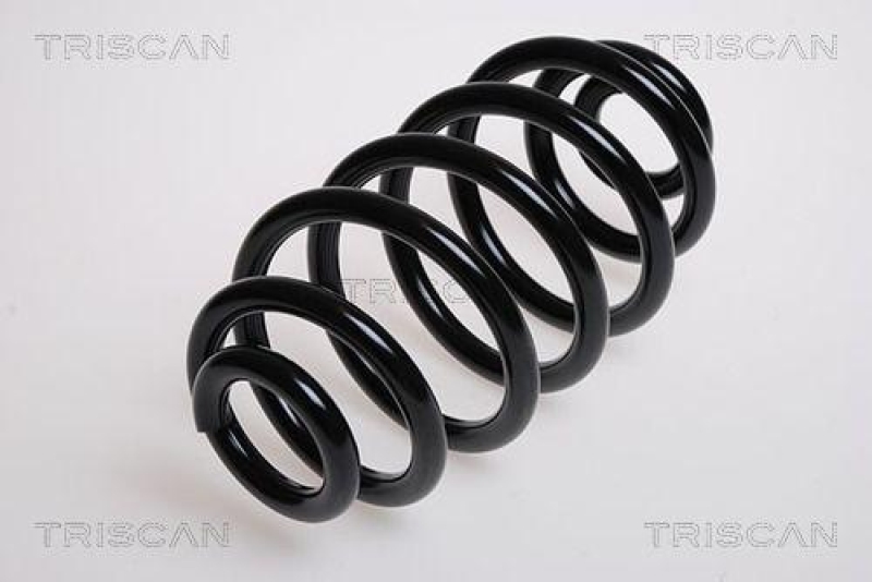 TRISCAN 8750 1719 Spiralfeder Hinten für Rover