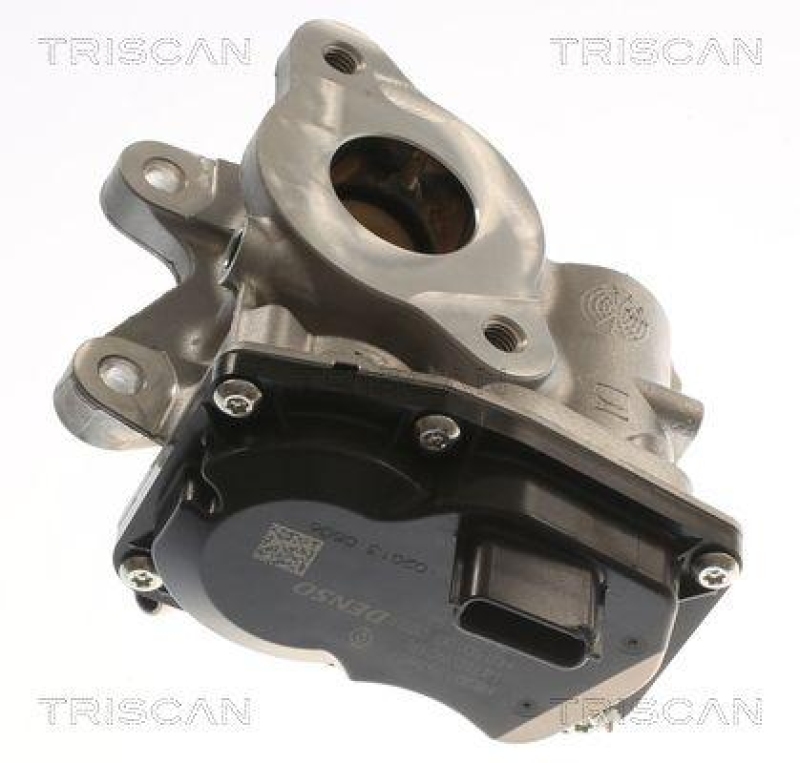 TRISCAN 8813 10116 Agr Ventil f&uuml;r Opel, Renault