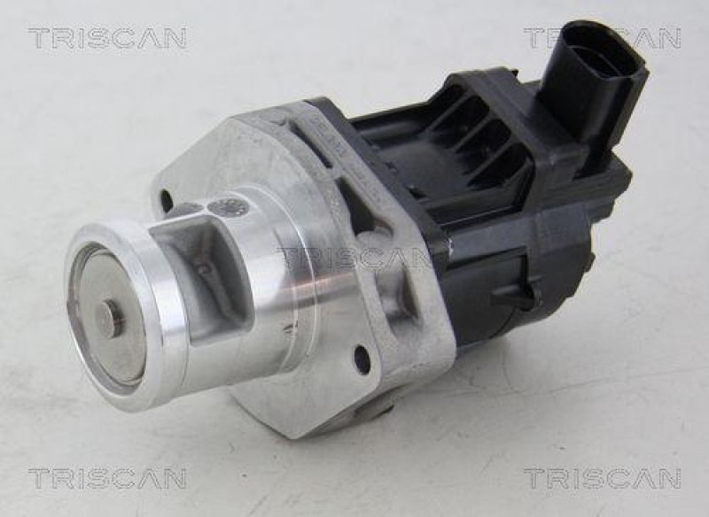 TRISCAN 8813 10214 Agr Ventil f&uuml;r Fiat/Chrysler