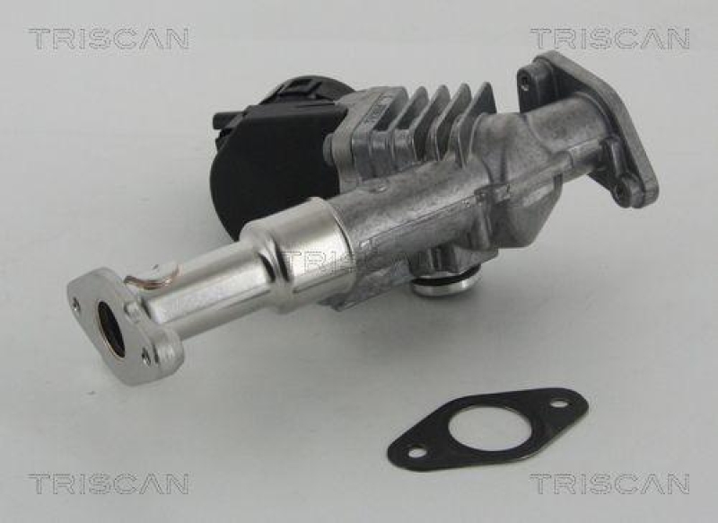 TRISCAN 8813 11006 Agr Ventil f&uuml;r Bmw