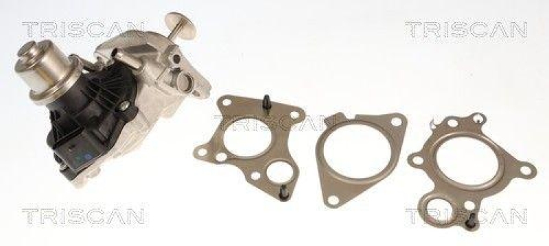 TRISCAN 8813 11007 Agr Ventil f&uuml;r Bmw