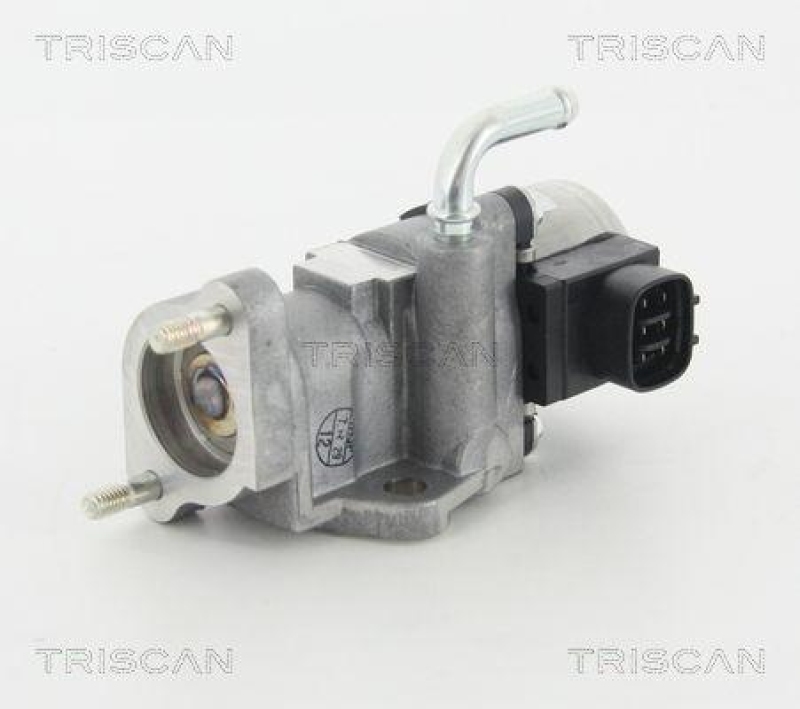 TRISCAN 8813 13002 Agr Ventil f&uuml;r Toyota