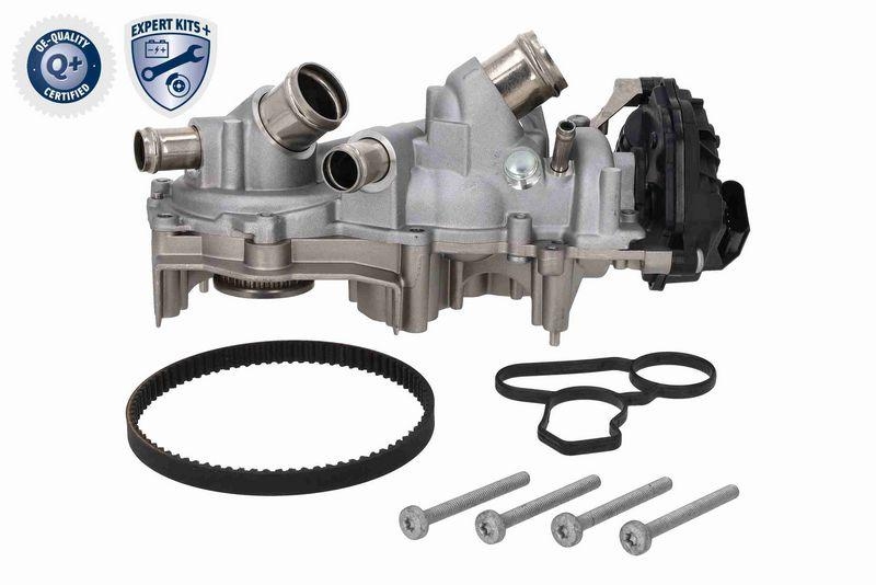 VAICO V10-50114 Wasserpumpe + Zahnriemensatz mit Dichtung, Zahnriemen und Schrauben für VW