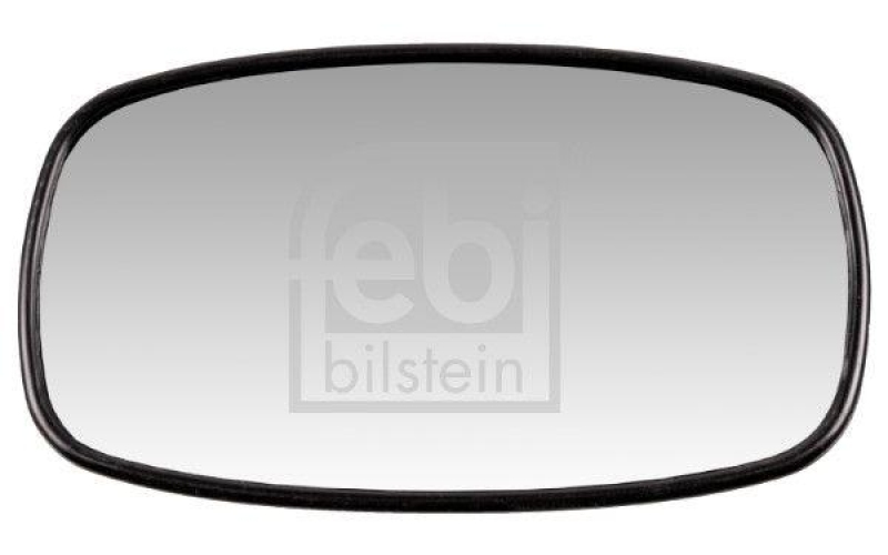FEBI BILSTEIN 184560 Rampenspiegel für DAF