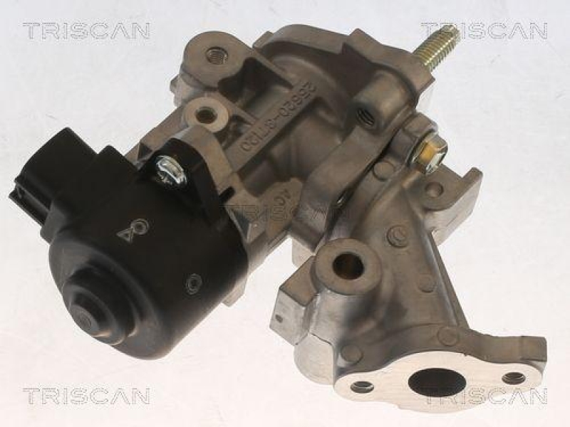 TRISCAN 8813 13067 Agr Ventil f&uuml;r Toyota Prius,Auris,Ct200