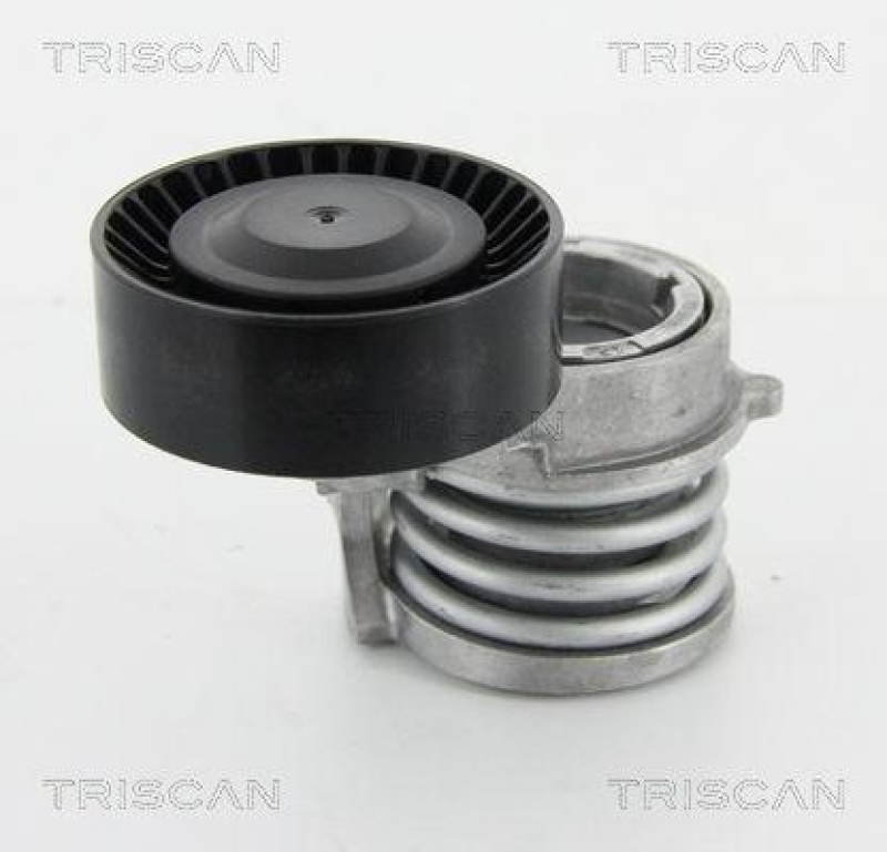 TRISCAN 8641 113016 Riemenspanneinheit f&uuml;r Bmw