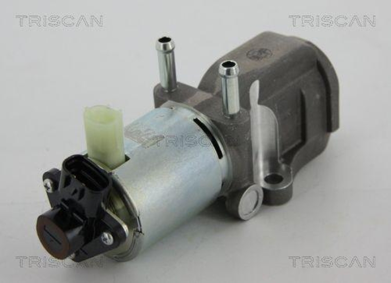 TRISCAN 8813 13202 Agr Ventil f&uuml;r Toyota