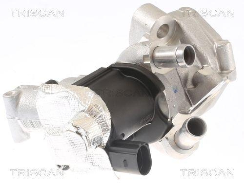 TRISCAN 8813 14006 Agr Ventil f&uuml;r Nissan, Infiniti