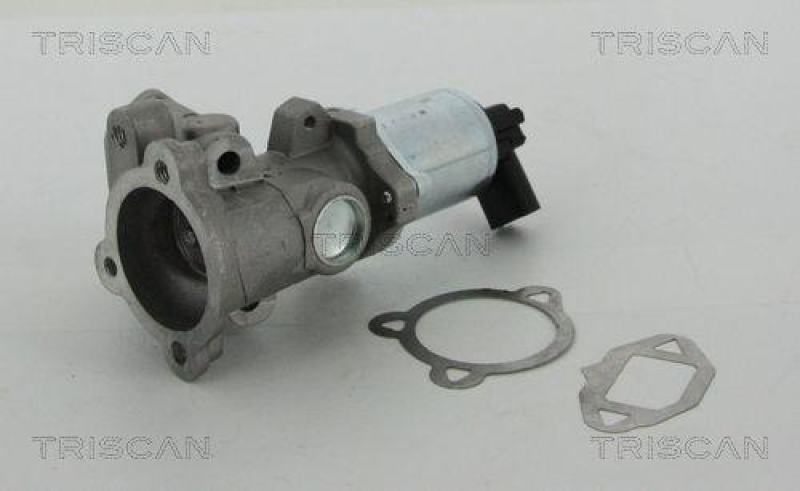 TRISCAN 8813 15052 Agr Ventil f&uuml;r Fiat/Psa