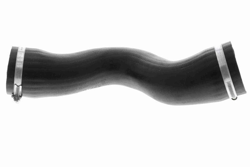 VAICO V10-3807 Ladeluftschlauch für VW