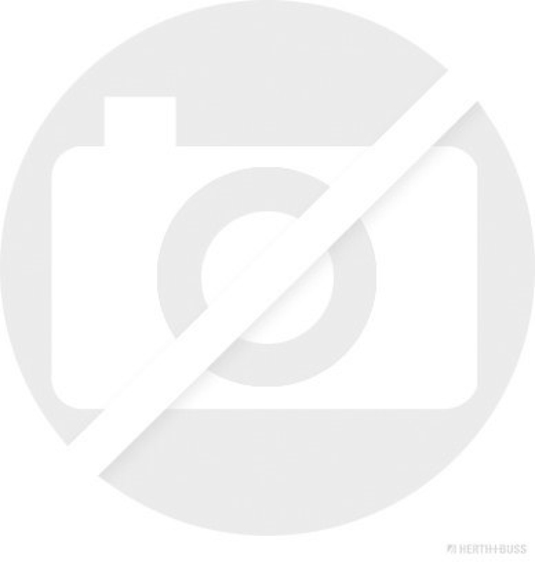 HERTH+BUSS 50391426 Steckgehäuse KOSTAL HVA 280 | 2-polig | 90° | Code G/G