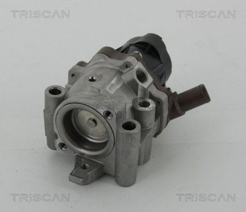 TRISCAN 8813 15208 Agr Ventil f&uuml;r Fiat