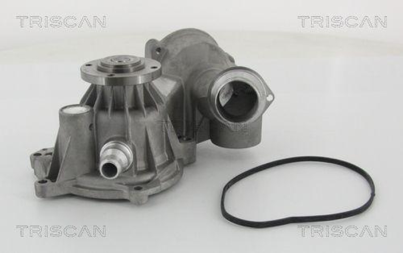 TRISCAN 8600 11039 Wasserpumpe f&uuml;r Bm