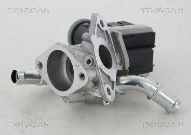 TRISCAN 8813 16036 Agr Ventil f&uuml;r Ford/Volvo/Mazda