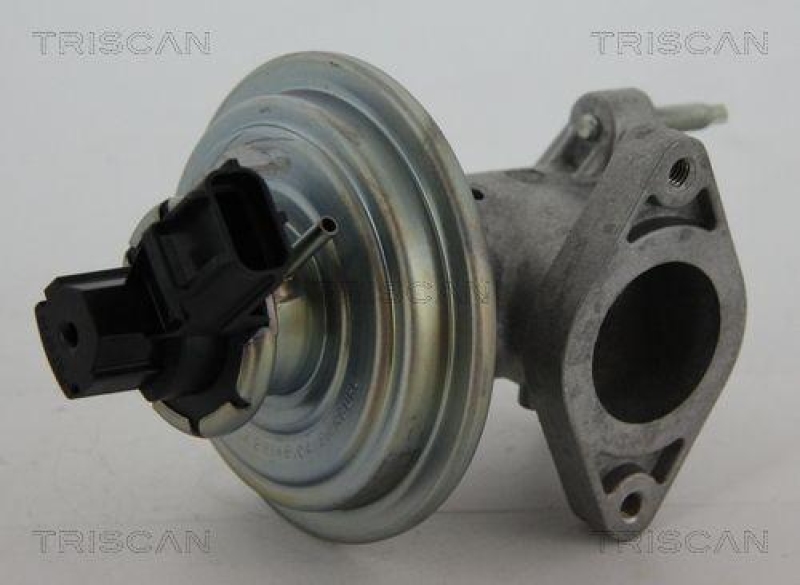 TRISCAN 8813 16043 Agr Ventil f&uuml;r Ford/Volvo/Mazda