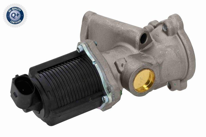 VEMO V24-63-0005-1 AGR-Ventil mit Dichtung für ALFA ROMEO