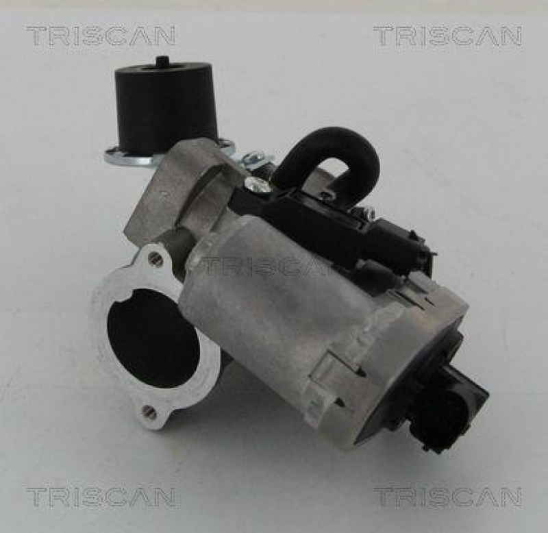 TRISCAN 8813 16202 Agr Ventil f&uuml;r Ford