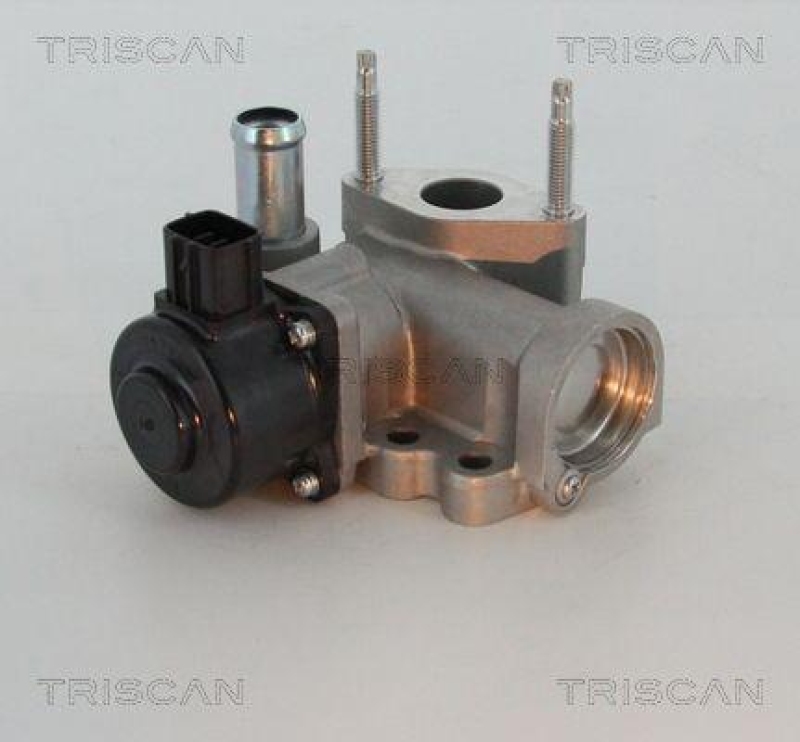 TRISCAN 8813 16203 Agr Ventil f&uuml;r Ford