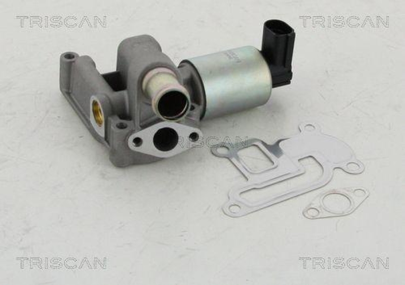 TRISCAN 8813 24003 Agr Ventil f&uuml;r Opel/Fiat/Gm