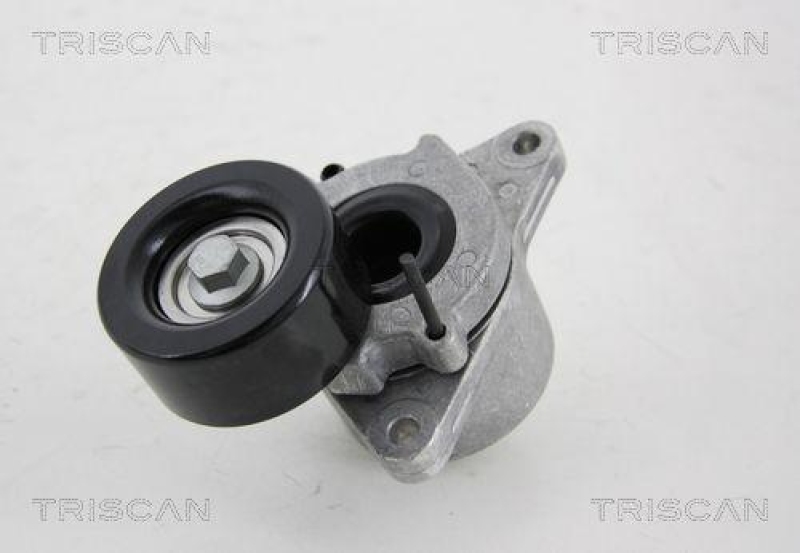 TRISCAN 8641 143002 Spannrolle für Nissan Pathfinder