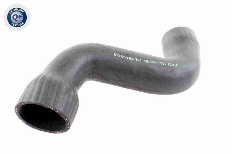 VAICO V10-3826 Ladeluftschlauch f&uuml;r VW