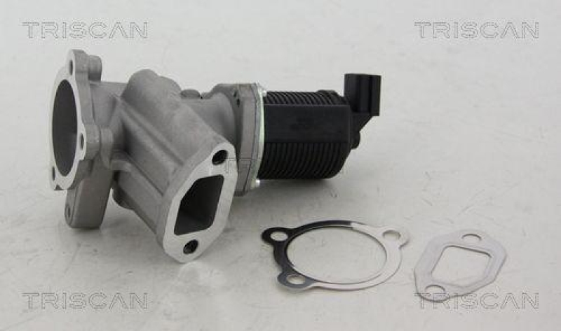 TRISCAN 8813 24012 Agr Ventil f&uuml;r Opel/Fiat/Gm