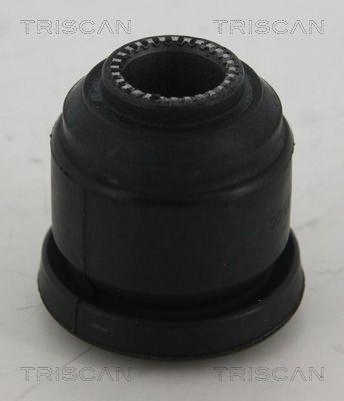 TRISCAN 8500 10869 Gummimetallager für Ford, Nissan