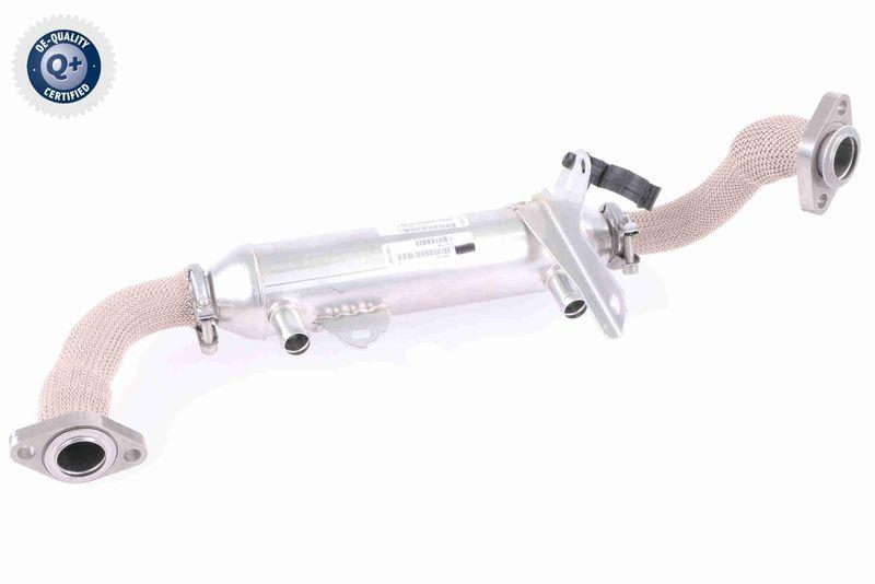 VEMO V24-63-0020 K&uuml;hler, Abgasr&uuml;ckf&uuml;hrung f&uuml;r FIAT