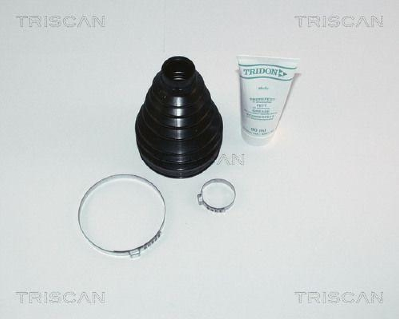 TRISCAN 8540 25811 Manchettensatz, Thermoplast f&uuml;r Renault Laguna