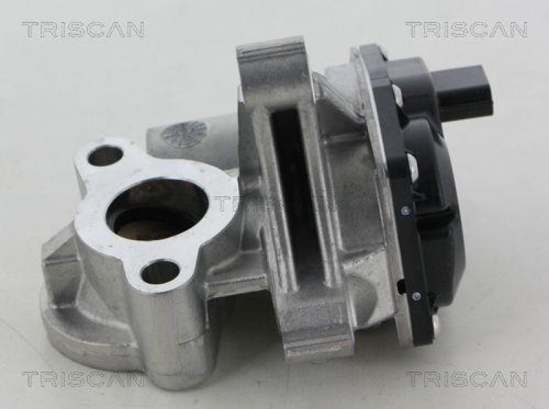 TRISCAN 8813 25041 Agr Ventil f&uuml;r Renault