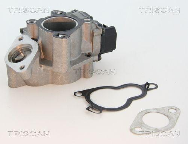 TRISCAN 8813 25203 Agr Ventil f&uuml;r Fiat