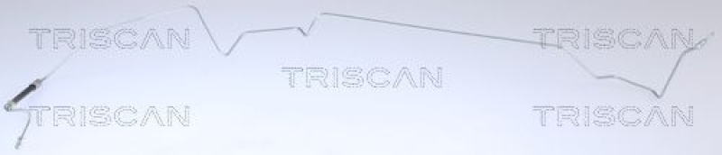 TRISCAN Bremsschlauch 815025231