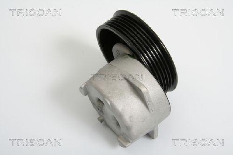 TRISCAN 8641 163006 Spannrolle f&uuml;r Ford Fiesta