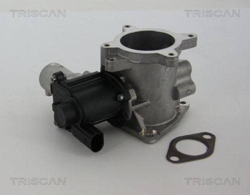 TRISCAN 8813 29105 Agr Ventil f&uuml;r Vw