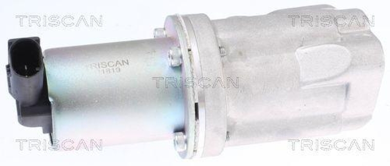 TRISCAN 8813 43009 Agr Ventil f&uuml;r Hyundai/Kia