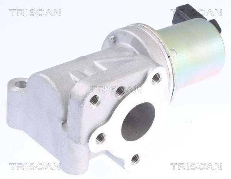 TRISCAN 8813 43015 Agr Ventil f&uuml;r Hyundai/Kia