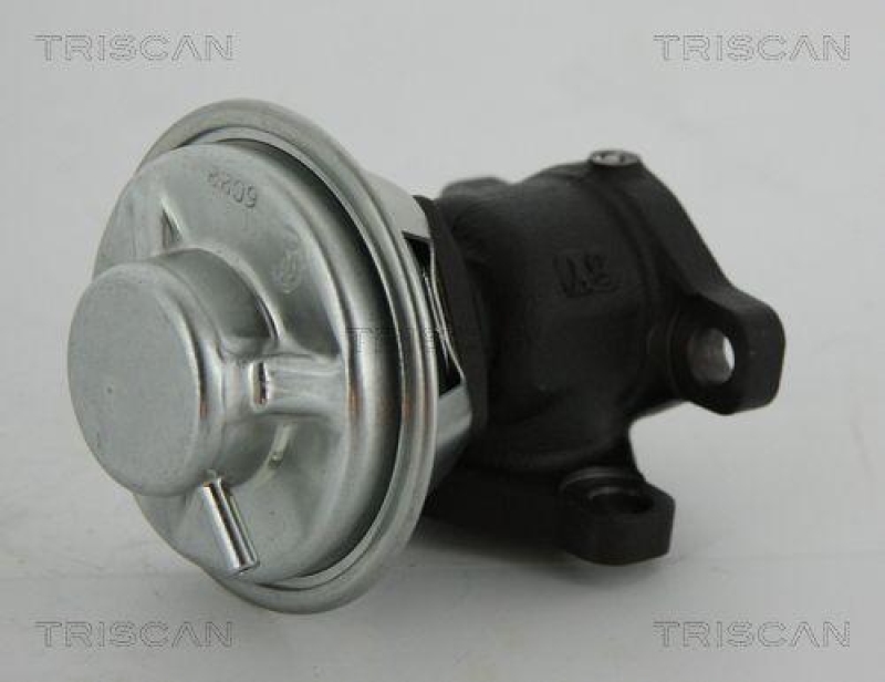 TRISCAN 8813 43022 Agr Ventil f&uuml;r Ssangyong
