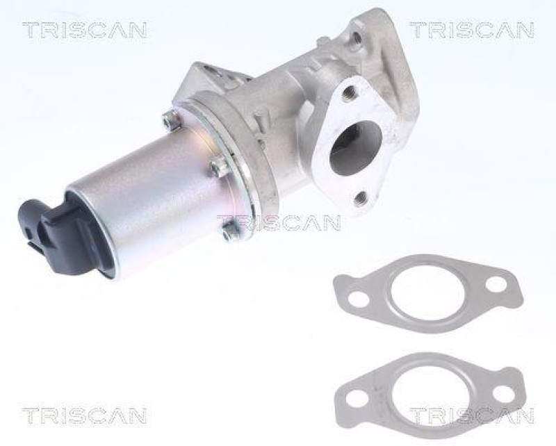 TRISCAN 8813 43024 Agr Ventil f&uuml;r Ssangyong