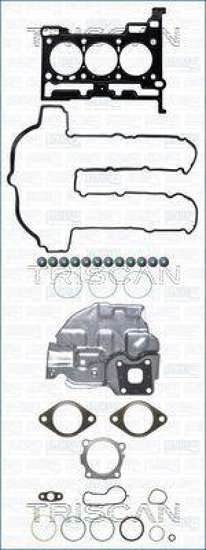 TRISCAN 598-1071 Dictungssatz