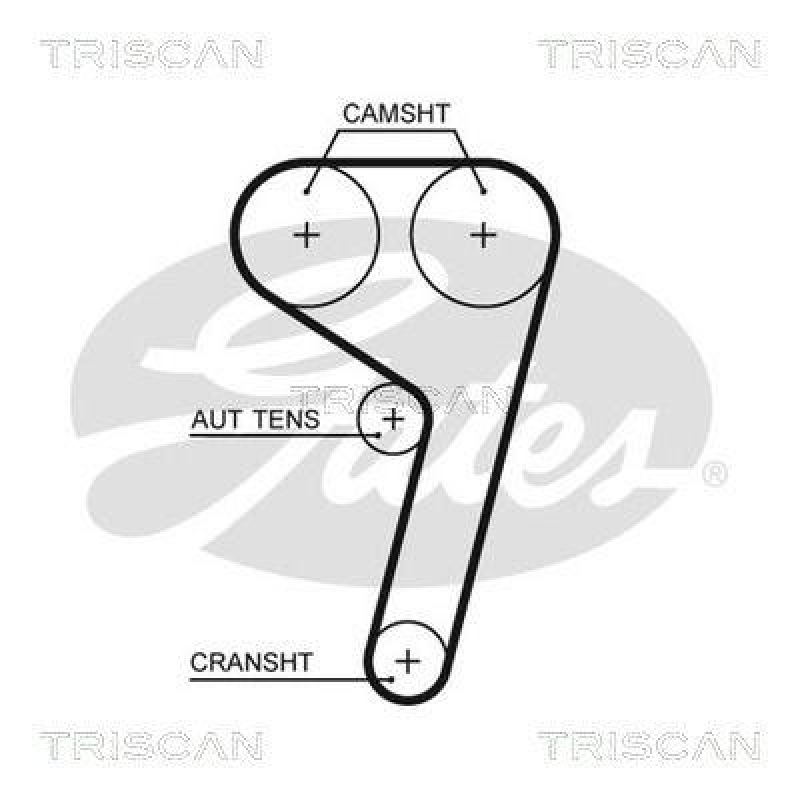 TRISCAN 8645 5669xs Zahnriemen für Ford