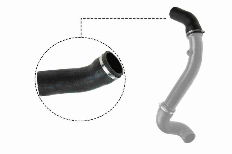 VAICO V30-2717 Ladeluftschlauch für MERCEDES-BENZ