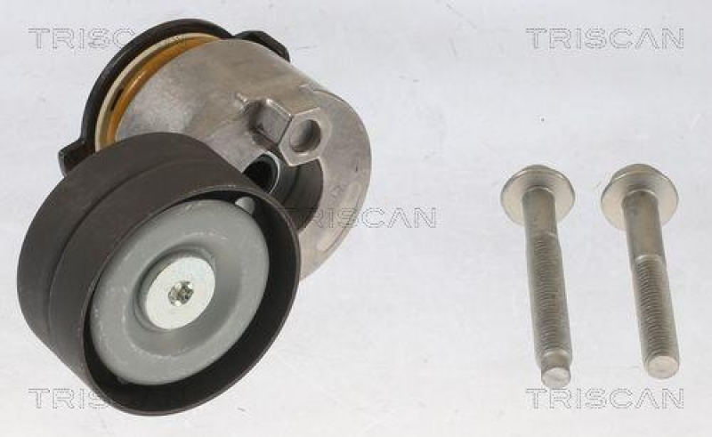 TRISCAN 8641 253005 Riemenspanneinheit für Renault