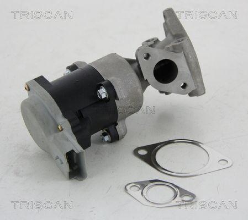 TRISCAN 8813 10008 Agr Ventil f&uuml;r Psa/Fiat/Gm