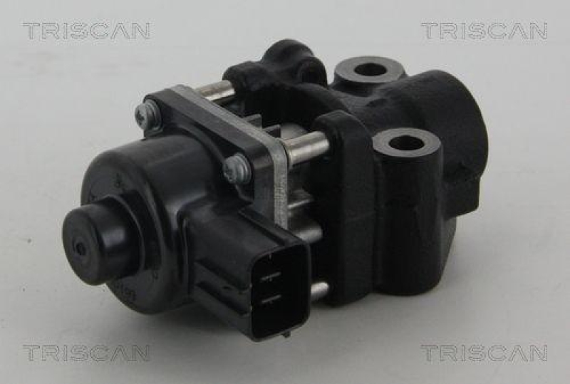 TRISCAN 8813 10013 Agr Ventil f&uuml;r Suzuki/Fiat
