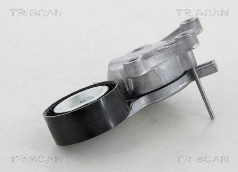 TRISCAN 8641 281027 Spannrolle für Citroen