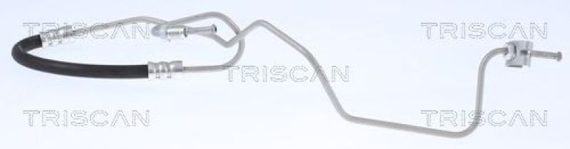 TRISCAN Bremsschlauch 815028263