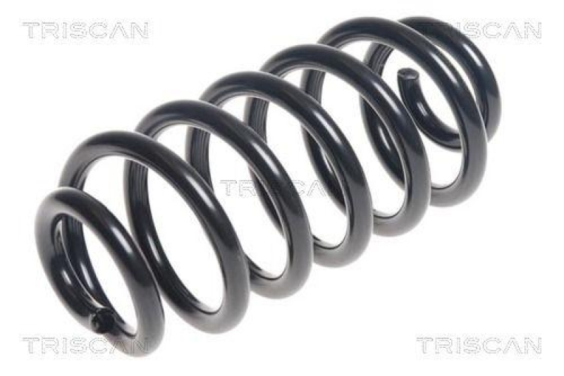 TRISCAN 8750 24200 Spiralfeder Hinten für Chevrolet, Opel