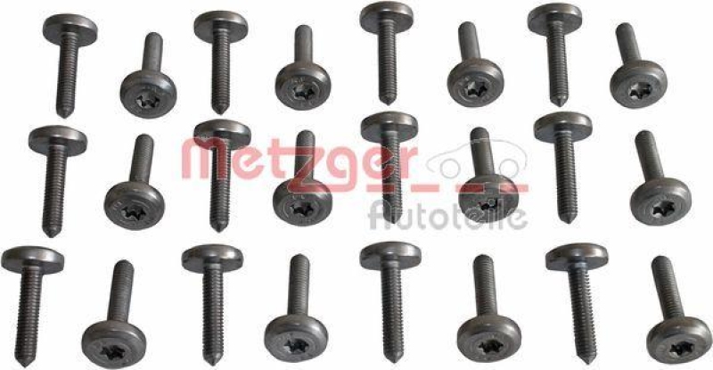 METZGER 8029027 Schraubensatz, &Ouml;lwanne-Automatikgetriebe f&uuml;r BMW 24 SCHRAUBEN