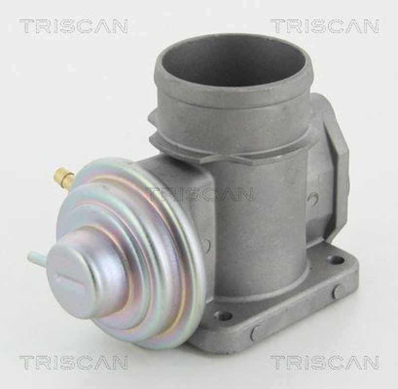 TRISCAN 8813 10101 Agr Ventil f&uuml;r Bmw/Opel